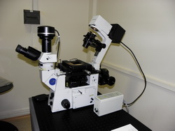 microscop inversat